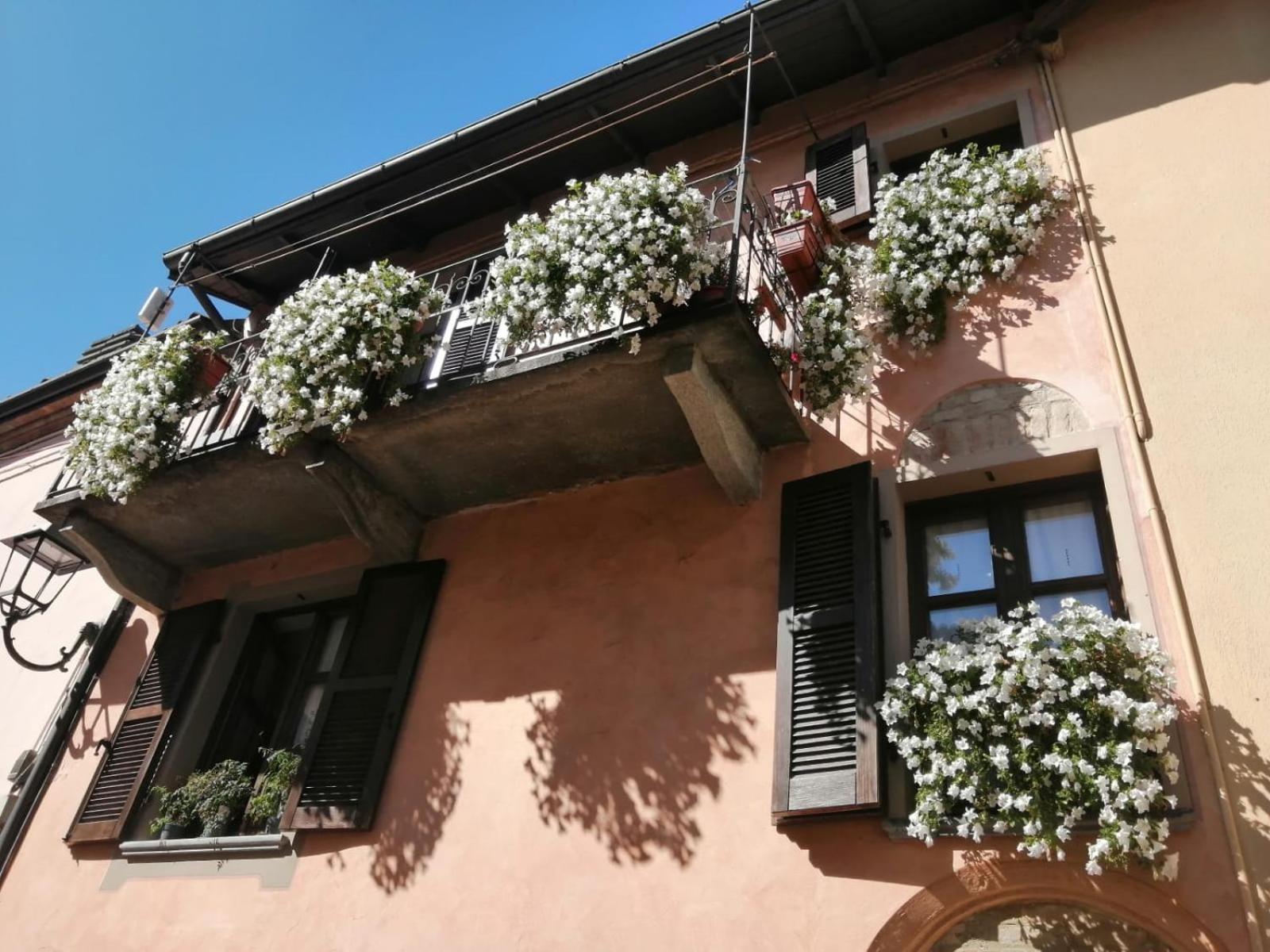 Hébergement de vacances House Antica Dimora Soggiorni In Langa Centro Storico